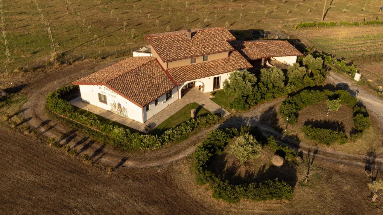 Agriturismo Sa Scalitta 카르보니아 외부 사진