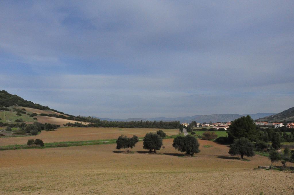 Agriturismo Sa Scalitta 카르보니아 외부 사진
